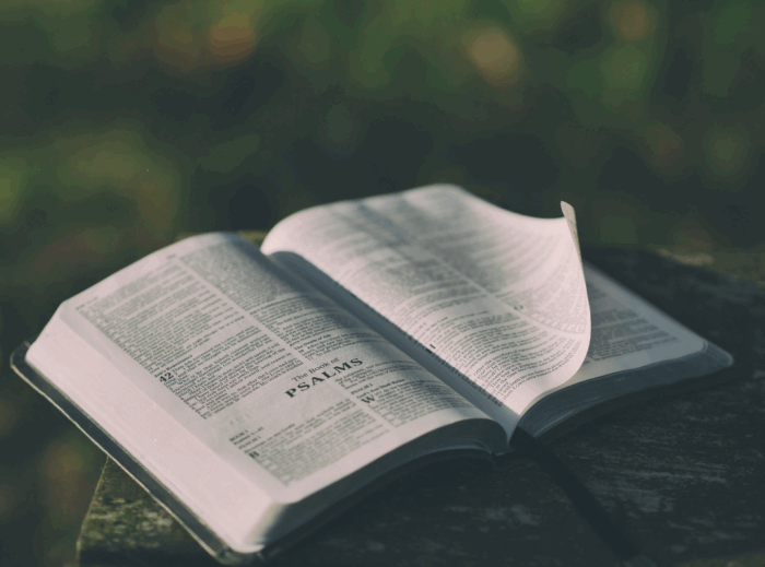 5 Bible Verses for Strength and Hope in Hard Times